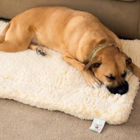 HuggleHounds Fleece Pet Mat XXL Wool White by HuggleHounds, Beds for dogs - Ref: Foro24-438930, Price: 103,99 €, Discount: %