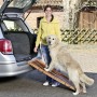 FLAMINGO Folding dog ramp 120x30x6 cm by FLAMINGO, Pet Steps and Ramps - Ref: Foro24-439628, Price: 110,96 €, Discount: %