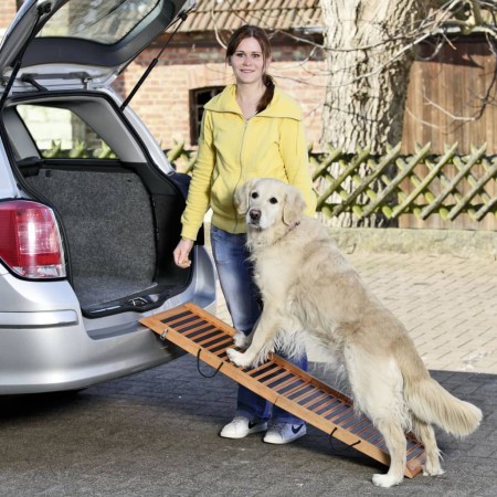 FLAMINGO Folding dog ramp 120x30x6 cm by FLAMINGO, Pet Steps and Ramps - Ref: Foro24-439628, Price: 110,99 €, Discount: %