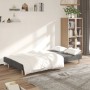 Sofá cama de 2 plazas tela gris claro de vidaXL, Sofás - Ref: Foro24-337274, Precio: 177,29 €, Descuento: %