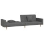 Sofá cama de 2 plazas con dos almohadas tela gris oscuro de vidaXL, Sofás - Ref: Foro24-337605, Precio: 241,46 €, Descuento: %