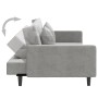 Sofá cama de 2 plazas con dos almohadas terciopelo gris claro de vidaXL, Sofás - Ref: Foro24-337628, Precio: 222,98 €, Descue...