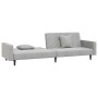 Sofá cama de 2 plazas con dos almohadas terciopelo gris claro de vidaXL, Sofás - Ref: Foro24-337628, Precio: 222,98 €, Descue...