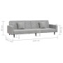 Sofá cama de 2 plazas con dos almohadas terciopelo gris claro de vidaXL, Sofás - Ref: Foro24-337628, Precio: 222,98 €, Descue...