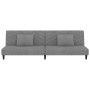 Sofá cama de 2 plazas con dos almohadas terciopelo gris claro de vidaXL, Sofás - Ref: Foro24-337617, Precio: 203,99 €, Descue...