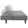 Sofá cama de 2 plazas terciopelo gris claro de vidaXL, Sofás - Ref: Foro24-337639, Precio: 183,99 €, Descuento: %