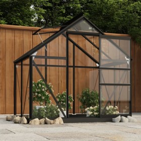 Anthracite gray aluminum glass greenhouse 155x103x191cm by vidaXL, Greenhouses - Ref: Foro24-3082333, Price: 571,99 €, Discou...