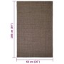 Alfombra de sisal natural marrón 66x100 cm de vidaXL, Alfombras - Ref: Foro24-136334, Precio: 37,89 €, Descuento: %