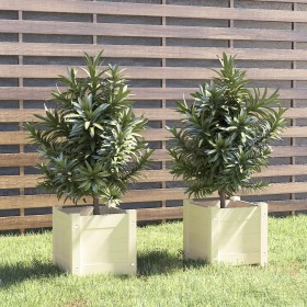 2 solid pine wood planters 31x31x31 cm by vidaXL, Pots and planters - Ref: Foro24-810525, Price: 34,69 €, Discount: %