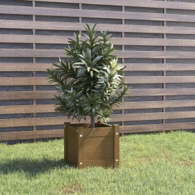 Jardinera de madera maciza de pino marrón 31x31x31 cm de vidaXL, Maceteros y jardineras - Ref: Foro24-810528, Precio: 22,99 €...