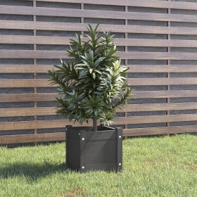 Solid gray pine wood planter 31x31x31 cm by vidaXL, Pots and planters - Ref: Foro24-810526, Price: 20,42 €, Discount: %