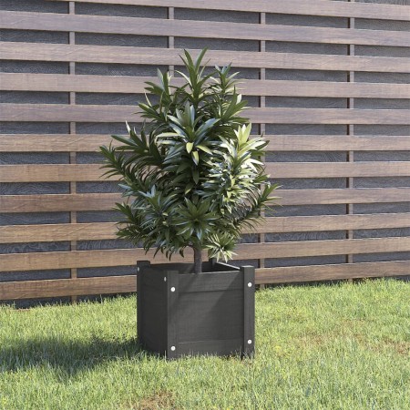 Jardinera de madera maciza de pino gris 31x31x31 cm de vidaXL, Maceteros y jardineras - Ref: Foro24-810526, Precio: 20,51 €, ...