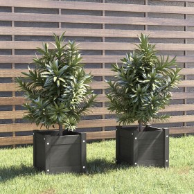 2 solid pine wood planters, 31x31x31 cm by vidaXL, Pots and planters - Ref: Foro24-810527, Price: 38,99 €, Discount: %