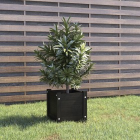 Jardinera de madera maciza de pino negro 31x31x31 cm de vidaXL, Maceteros y jardineras - Ref: Foro24-810530, Precio: 20,99 €,...