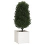 Solid white pine wood planter 60x60x60 cm by vidaXL, Pots and planters - Ref: Foro24-810560, Price: 79,84 €, Discount: %