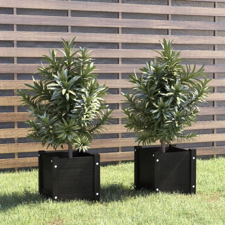 2 black solid pine wood planters 31x31x31 cm by vidaXL, Pots and planters - Ref: Foro24-810531, Price: 38,54 €, Discount: %