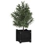 2 black solid pine wood planters 31x31x31 cm by vidaXL, Pots and planters - Ref: Foro24-810531, Price: 38,54 €, Discount: %