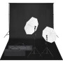 Kit de estudio fotográfico con set de luces y fondo de vidaXL, Flashes e iluminaciones de estudio - Ref: Foro24-3094650, Prec...