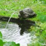 Ubbink Gartenbrunnen mit Strahl und Schildkrötenform von Ubbink, Brunnen und Wasserfälle - Ref: Foro24-442055, Preis: 51,61 €...