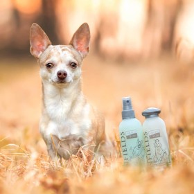 Greenfields Komplettes Hundeshampoo und Spray-Set 2x250 ml von Greenfields, Shampoos und Spülungen für Haustiere - Ref: Foro2...