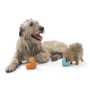 West Paw Dog Toy with Zogoflex Tux Aqua Blue S by West Paw, Dog's Toys - Ref: Foro24-441988, Price: 28,99 €, Discount: %