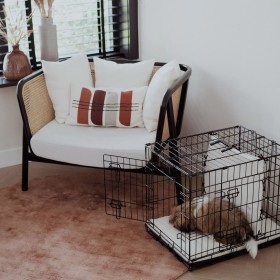 DISTRICT70 CRATE XL dog cage by DISTRICT70, Pet carriers and boxes - Ref: Foro24-441972, Price: 165,99 €, Discount: %