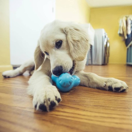 West Paw Dog Toy with Zogoflex Tux Aqua Blue L by West Paw, Dog's Toys - Ref: Foro24-441985, Price: 41,99 €, Discount: %