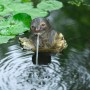 Ubbink Fuente de jardín con chorro y en forma de nutria de Ubbink, Fuentes y cascadas - Ref: Foro24-442057, Precio: 50,99 €, ...