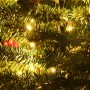 Artificial Christmas Trees 2pcs wreath, garland and LED by vidaXL, Christmas trees - Ref: Foro24-344648, Price: 66,49 €, Disc...