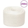 White polypropylene work rope 12 mm 250 m by vidaXL, Ropes and metal cords - Ref: Foro24-153058, Price: 92,46 €, Discount: %