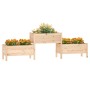 Jardinera de madera maciza de pino 245,5x44x75 cm de vidaXL, Maceteros y jardineras - Ref: Foro24-822252, Precio: 151,12 €, D...