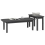 2-teiliges Couchtisch-Set aus massivem grauem Kiefernholz von vidaXL, Couchtisch - Ref: Foro24-822364, Preis: 63,99 €, Rabatt: %