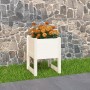 Jardinera madera maciza de pino blanco 40x40x52,5 cm de vidaXL, Maceteros y jardineras - Ref: Foro24-822109, Precio: 39,87 €,...