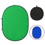 Oval 2-in-1 green and blue photography backdrop 200x150 cm by vidaXL, Money - Ref: Foro24-190250, Price: 57,60 €, Discount: %