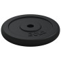 Cast iron weight plates 40 kg by vidaXL, free weight - Ref: Foro24-3145054, Price: 131,90 €, Discount: %