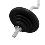 Dumbbell with discs 90 kg cast iron and chrome steel by vidaXL, free weight - Ref: Foro24-3145040, Price: 305,54 €, Discount: %