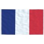 Aluminum pole and flag of France 6.23 m by vidaXL, Flags and windsocks - Ref: Foro24-3147093, Price: 71,06 €, Discount: %