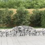 Gabion baskets 8 pcs arch shape iron 300x50x40/60 cm by vidaXL, Pots and planters - Ref: Foro24-3146653, Price: 594,85 €, Dis...