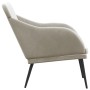 Light gray velvet bench 110x76x80 cm by vidaXL, Banks - Ref: Foro24-351464, Price: 139,36 €, Discount: %