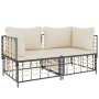 Modulare Ecksofas mit Kissen 2 Stück synthetisches Rattan von vidaXL, Outdoor-Sofas - Ref: Foro24-3186690, Preis: 175,26 €, R...