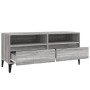 Sonoma gray plywood TV cabinet 100x34.5x44.5 cm by vidaXL, TV Furniture - Ref: Foro24-831907, Price: 74,12 €, Discount: %