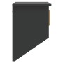 Armario pared ganchos madera contrachapada negro 80x24x35,5 cm de vidaXL, Armarios roperos - Ref: Foro24-352131, Precio: 51,2...