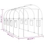 Invernadero PVC acero pintado polvo transparente 160x400x190cm de vidaXL, Invernaderos - Ref: Foro24-317247, Precio: 87,91 €,...