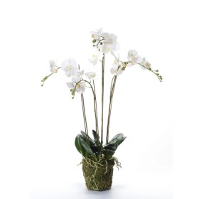 Emerald Artificial orchid with white moss 90 cm 20.355 by Emerald, artificial flora - Ref: Foro24-414484, Price: 145,88 €, Di...