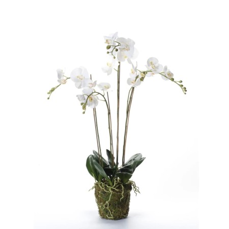 Emerald Künstliche Orchidee mit weißem Moos 90 cm 20.355 von Emerald, Künstliche Flora - Ref: Foro24-414484, Preis: 145,79 €,...