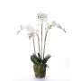 Emerald Orquídea artificial con musgo blanca 90 cm 20.355 de Emerald, Flora artificial - Ref: Foro24-414484, Precio: 145,79 €...