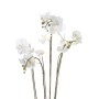 Emerald Orquídea artificial con musgo blanca 90 cm 20.355 de Emerald, Flora artificial - Ref: Foro24-414484, Precio: 145,79 €...