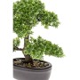 Emerald Mini bonsai artificial Ficus verde 32 cm 420002 de Emerald, Flora artificial - Ref: Foro24-414503, Precio: 52,13 €, D...