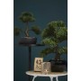 Emerald Mini artificial green Ficus bonsai 47 cm 420006 by Emerald, artificial flora - Ref: Foro24-414506, Price: 75,95 €, Di...