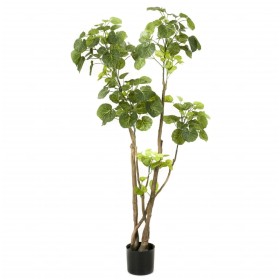 Emerald künstlicher Polyscias-Baum 135 cm 420292 von Emerald, Künstliche Flora - Ref: Foro24-414511, Preis: 120,99 €, Rabatt: %